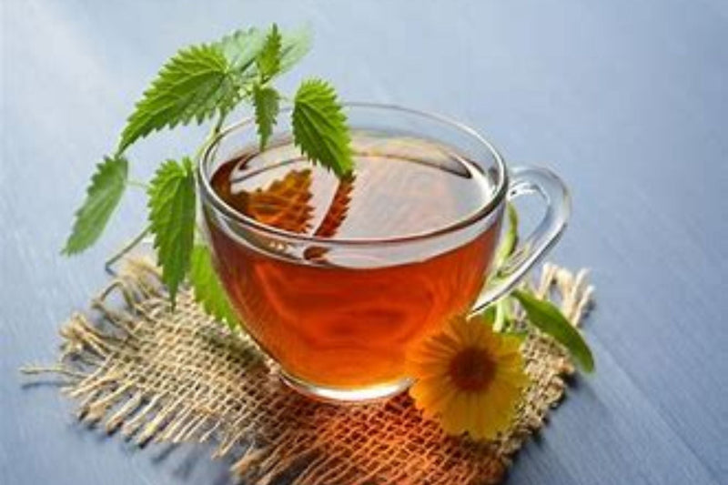 Wake Up Refreshed: The Energizing Blend of Nirvana Organic India  Morning Tea