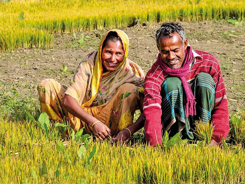 Breaking the Stereotypes: Women Debunking Myths About Farming