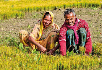 Breaking the Stereotypes: Women Debunking Myths About Farming