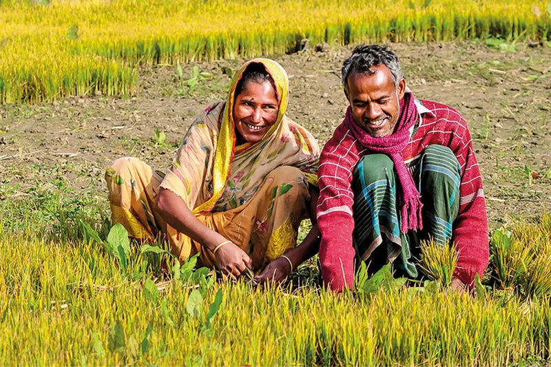 Breaking the Stereotypes: Women Debunking Myths About Farming