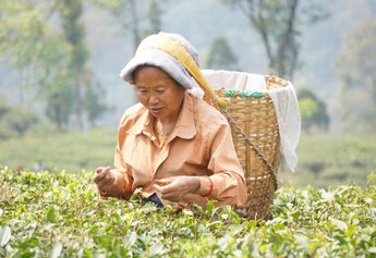 Building a Better Future: How You Can Support Women Farmers in the Himalayas
