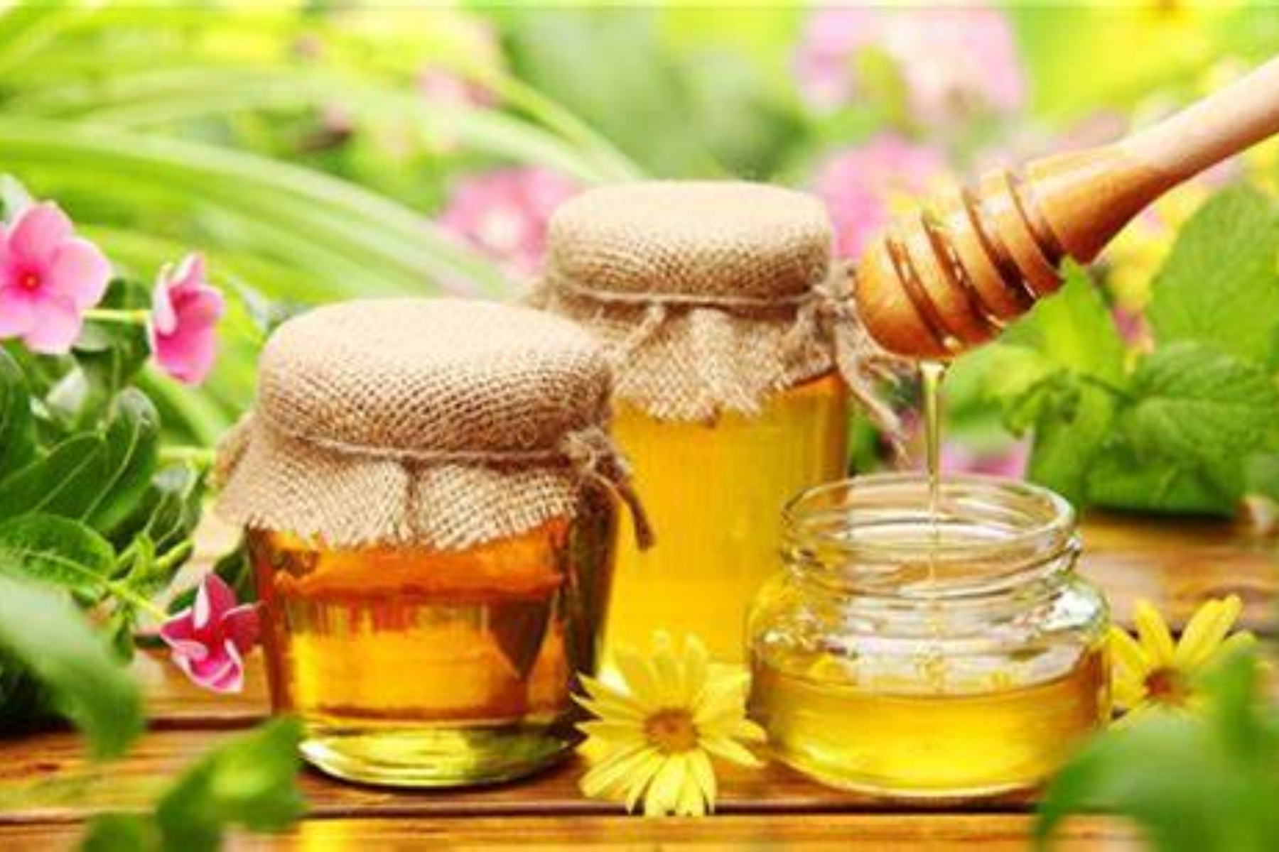 Nirvana Organics' Himalayan Forest Honey