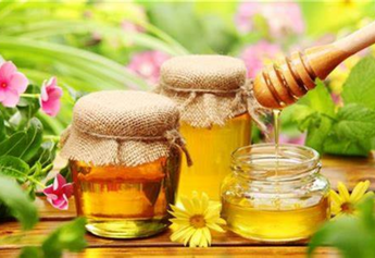 Nirvana Organics' Himalayan Forest Honey