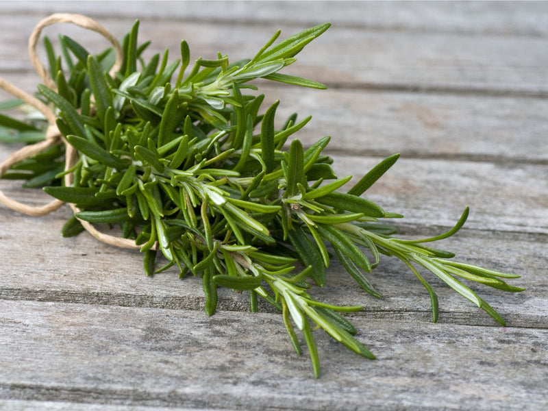 Rosemary: The "It" Herb of the Moment