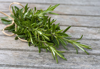 Rosemary: The 
