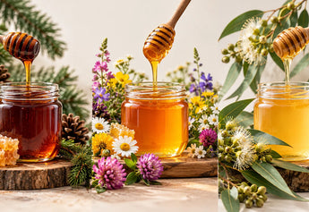 Forest vs Multiflora vs Eucalyptus Honey: Health Benefits