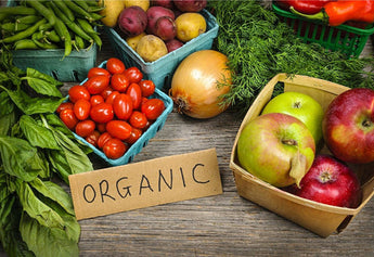 The Rise of Organic and Sustainable Farming Post-COVID-19: A New Era of Food Production