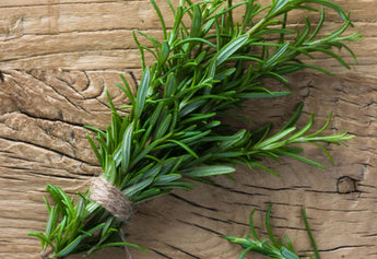 Rosemary: The Herb That Has It All