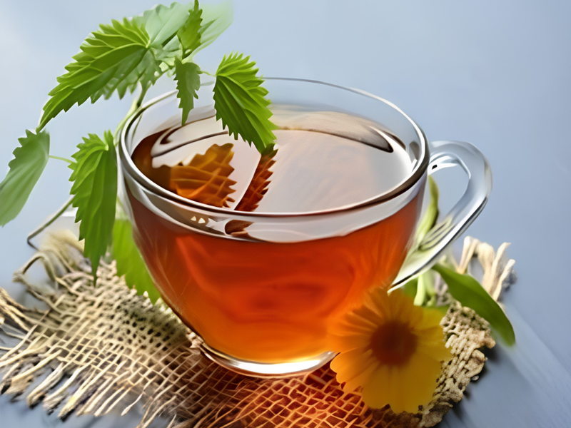Wake Up Refreshed: The Energizing Blend of Nirvana Organic India Morning Tea