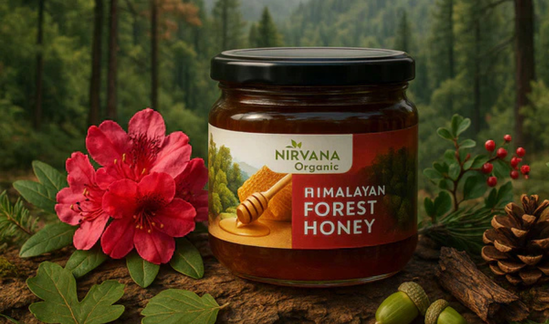 Why Forest Honey is Healthier Than Regular Honey: Benefits & Uses