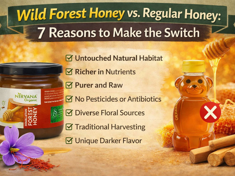 Wild Forest Honey vs. Regular Honey: 7 Reasons to Make the Switch