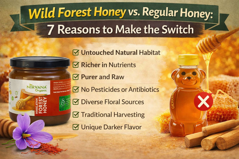 Wild Forest Honey vs. Regular Honey: 7 Reasons to Make the Switch