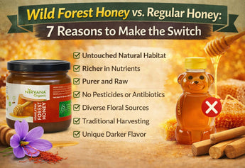 Wild Forest Honey vs. Regular Honey: 7 Reasons to Make the Switch
