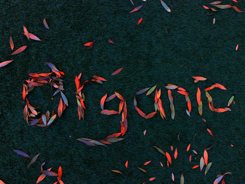 The Future of Organic Farming: Innovations for a Sustainable Future