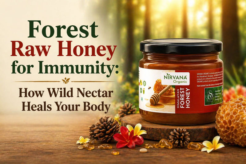 Forest Raw Honey for Immunity: How Wild Nectar Heals Your Body