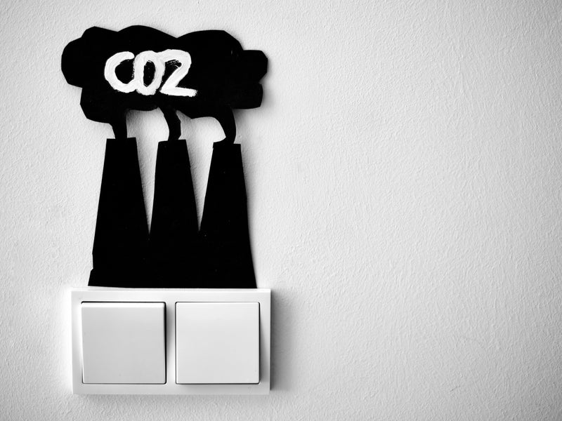 How Organic Food Reduces Your Carbon Footprint