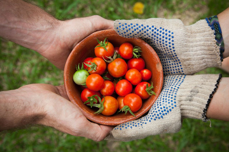 Organic vs. Conventional Food: Label Decoded for Savvy Shoppers