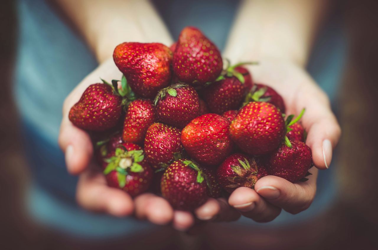 Organic vs. Locally Sourced Food: Making Informed Choices