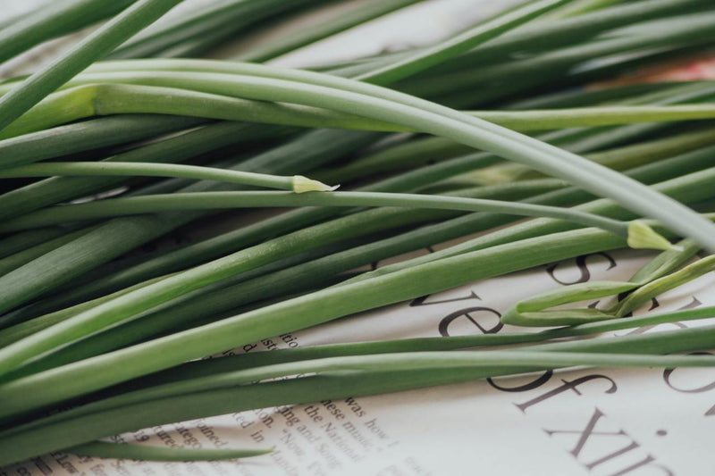 Lemongrass: The Fragrant Herb with 7  Health Benefits