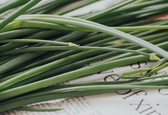 Lemongrass: The Fragrant Herb with 7  Health Benefits