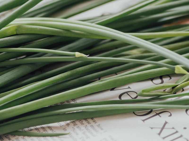 Growing Your Lemongrass: A Sustainable and Rewarding Kitchen Addition