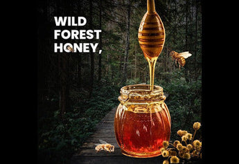 From Hive to Jar: The Pure, Organic Journey of Nirvana’s Forest Honey