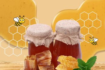 From Hive to Jar: The Pure, Organic Journey of Nirvana’s Forest Honey