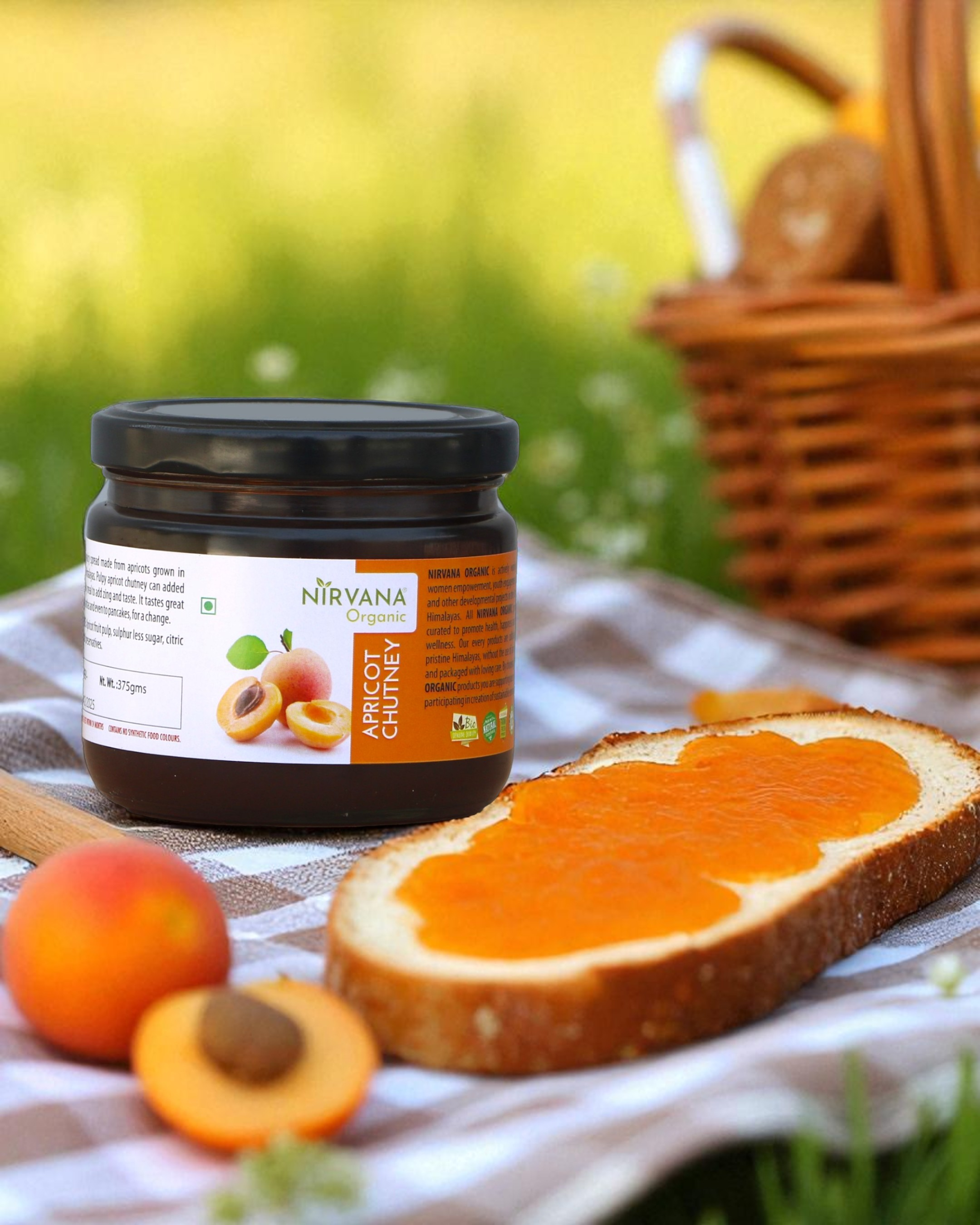 Apricot Chutney-Sweet & Tangy Himalayan Apricot Spread-Free from Synthetic Food Color (375gms)