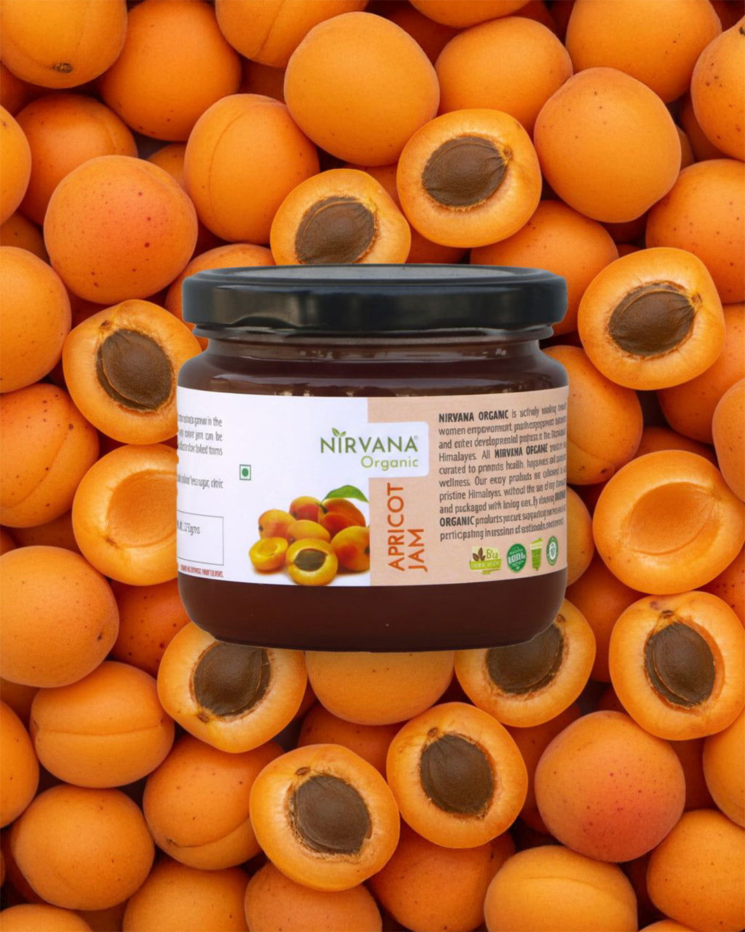 Apricot Honey Lip Balm for Soft Lips | Natural Lip Care with Vitamin E (10gms)