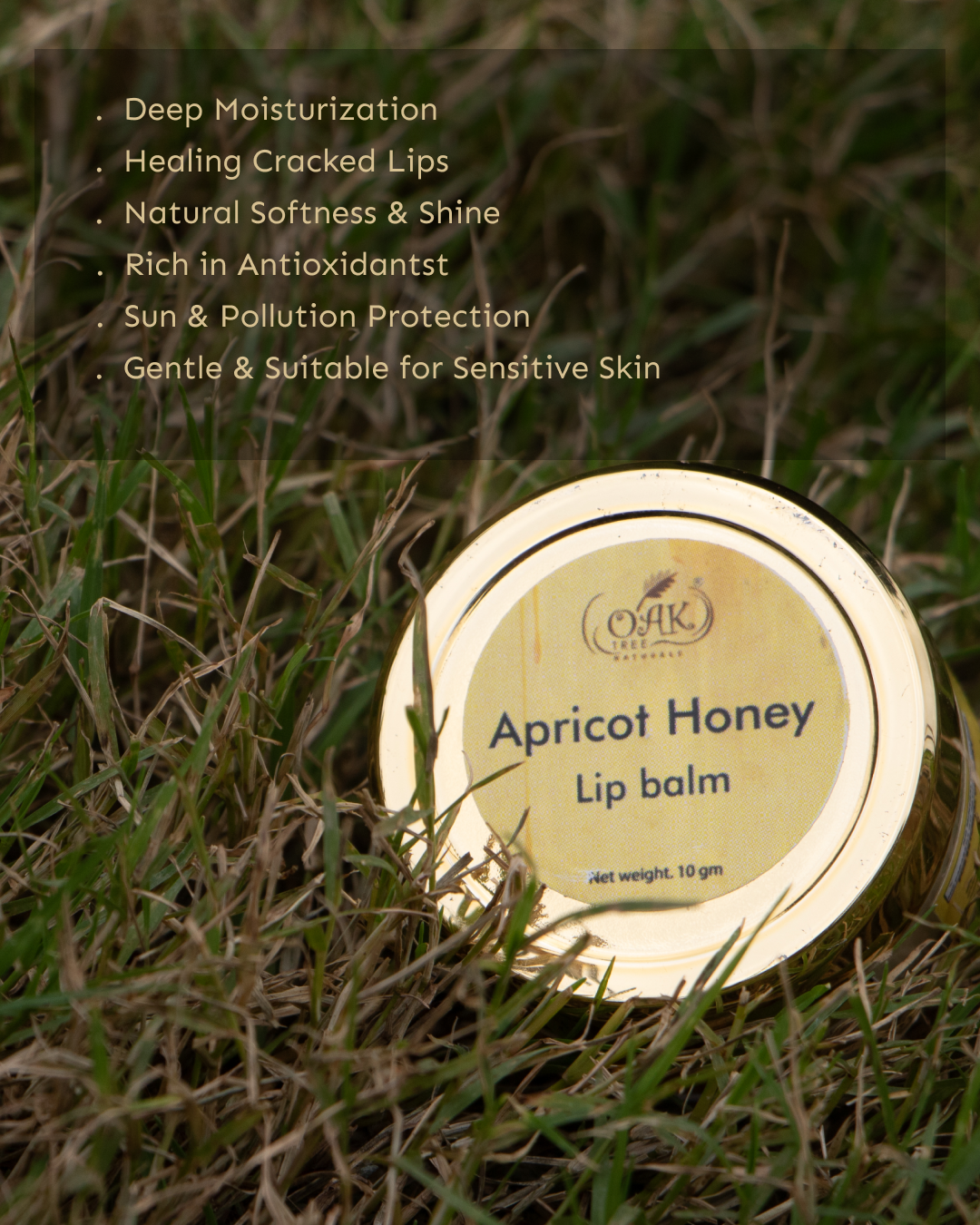 Apricot Honey Lip Balm for Soft Lips | Natural Lip Care with Vitamin E (10gms)