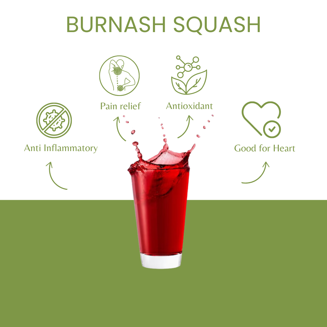 Buransh Squash