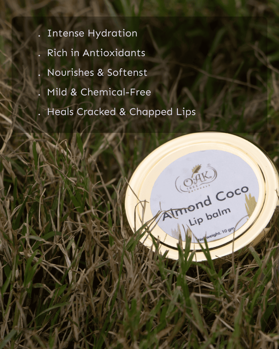 Natural Almond Coconut Lip Balm | Moisturizing Lip Care for Dry Chapped Lips (10g)