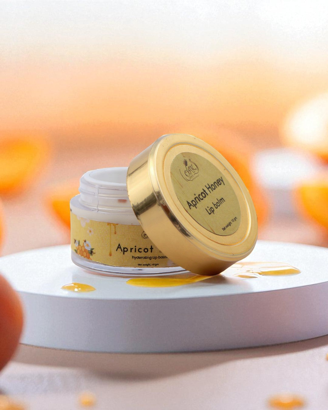 Apricot Honey Lip Balm for Soft Lips | Natural Lip Care with Vitamin E (10gms)