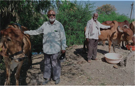 Maya Tai (Solapur, Maharashtra)