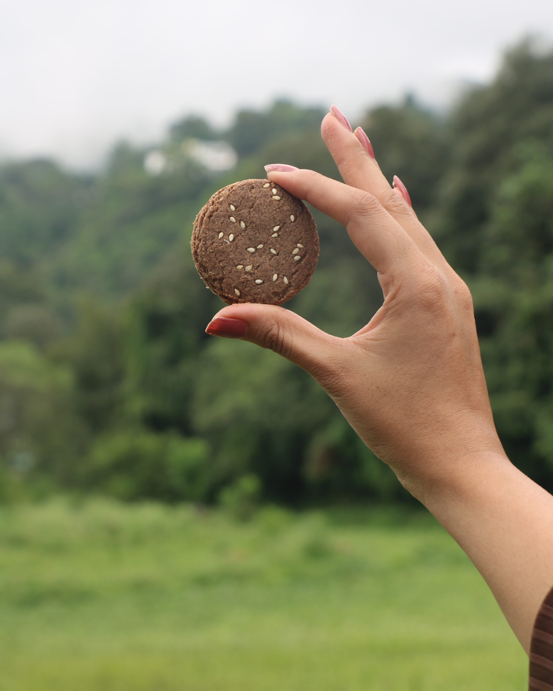 Ragi Cookies-Himalayan Finger Millet-More Nutritious & Digestive (200gms)